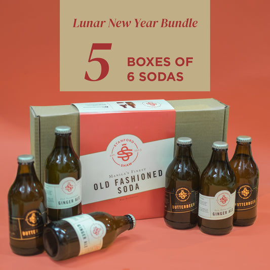 5 Boxes - Box of 6 (Ginger Ale or Butterbeer 290 ml)